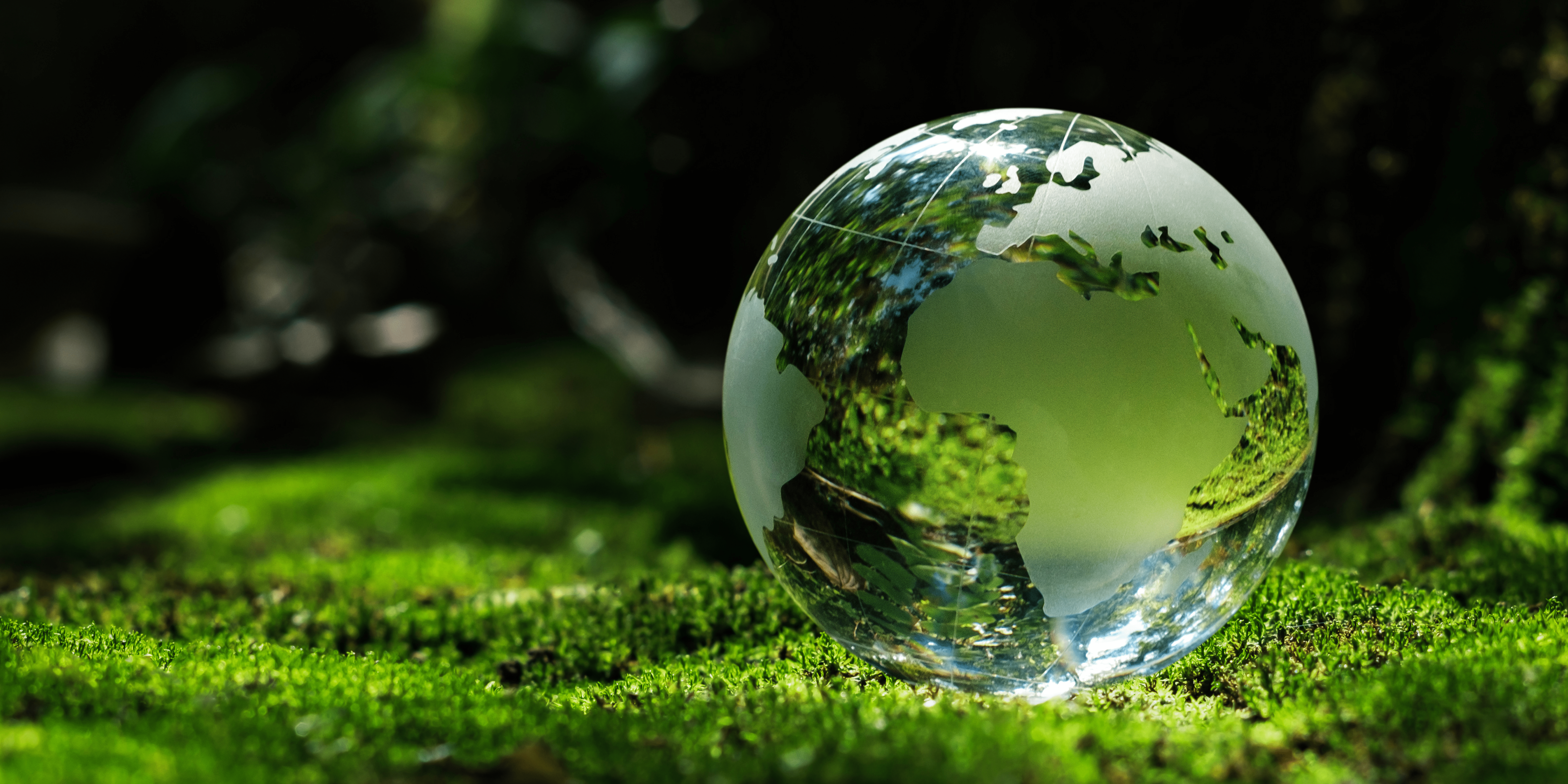 Sustainability analysis - VALPEO