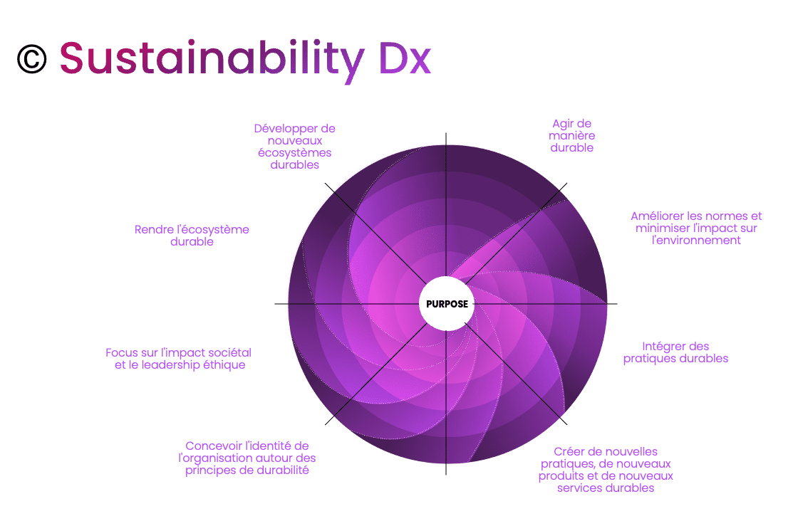 FR_Sustainability levels – grounded in the Transformative Value Framework