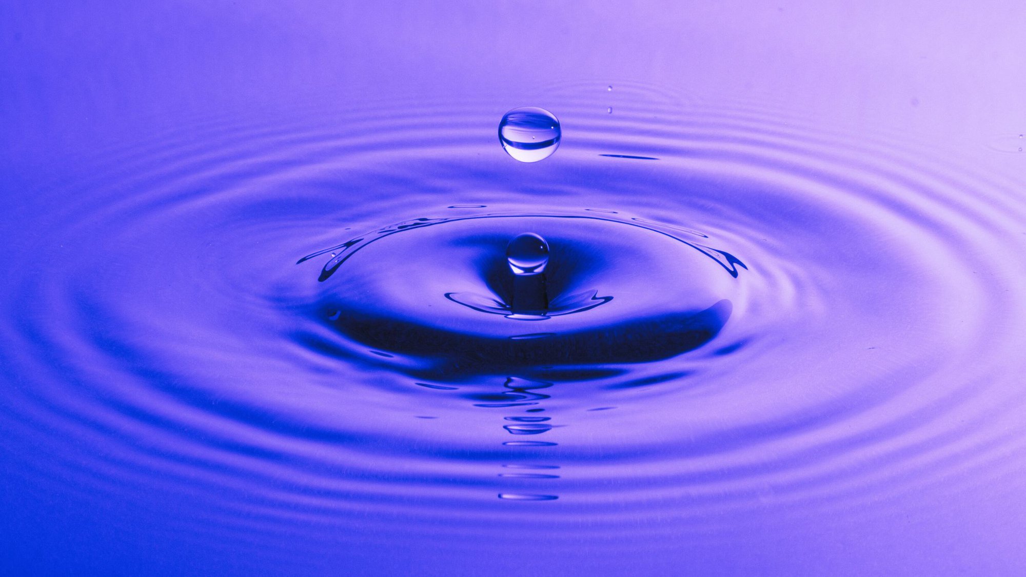 What Value Are You Really Creating? cover